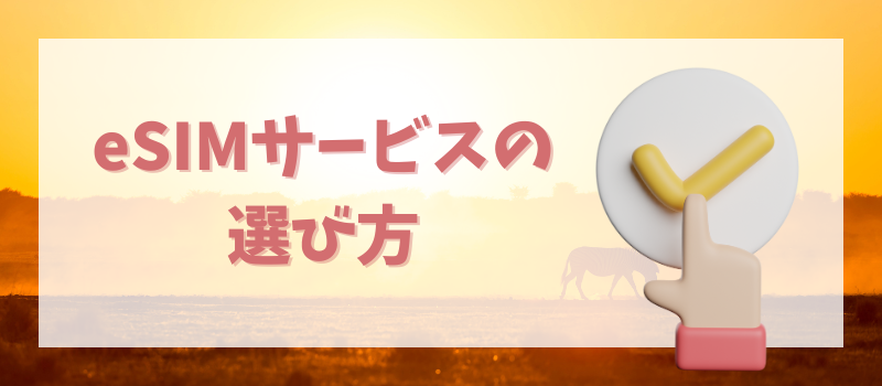 esim 選び方　アフリカ